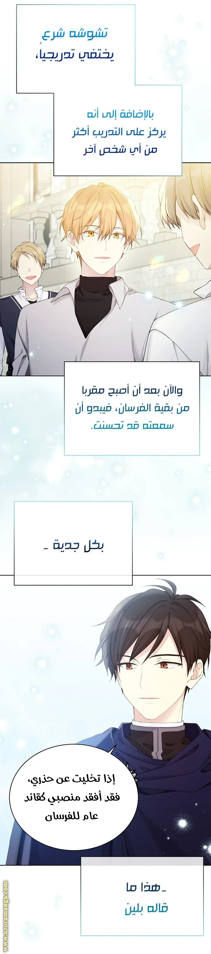 الصفحة 17