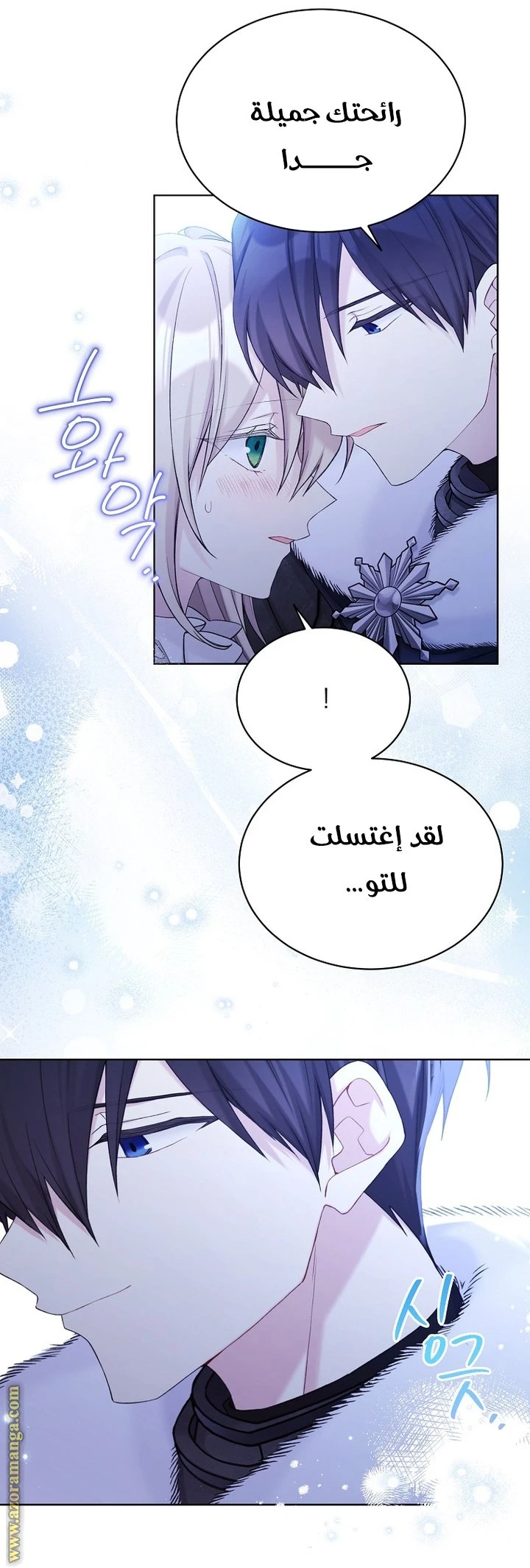 الصفحة 26