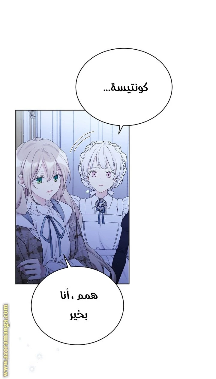 الصفحة 28