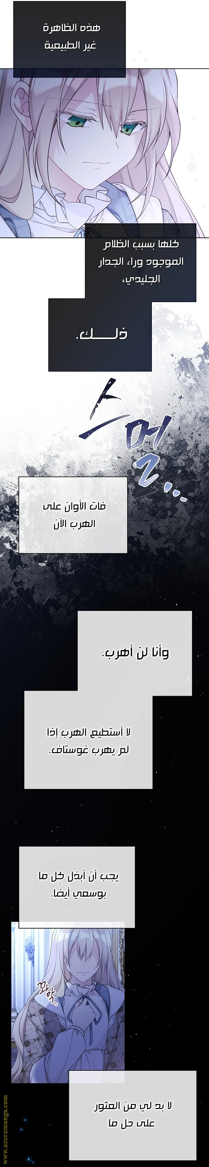 الصفحة 29