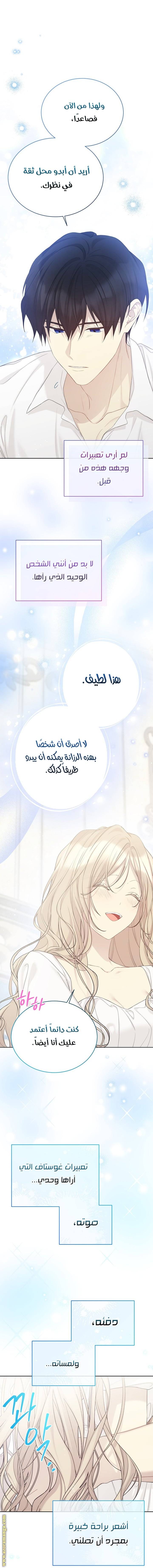 الصفحة 17