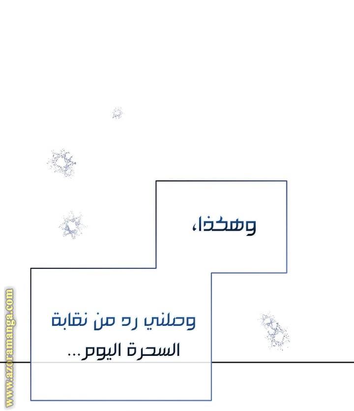 الصفحة 27