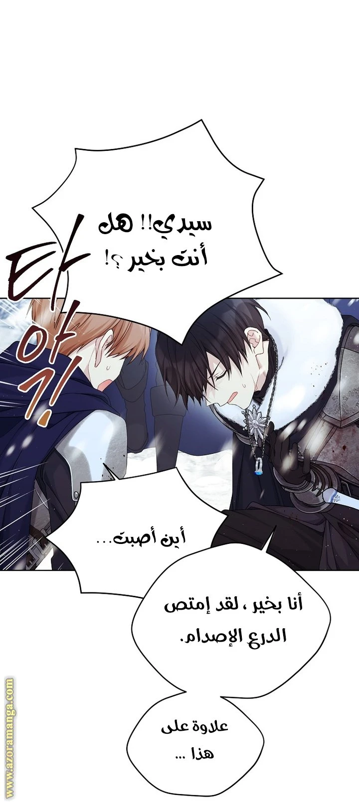 الصفحة 21