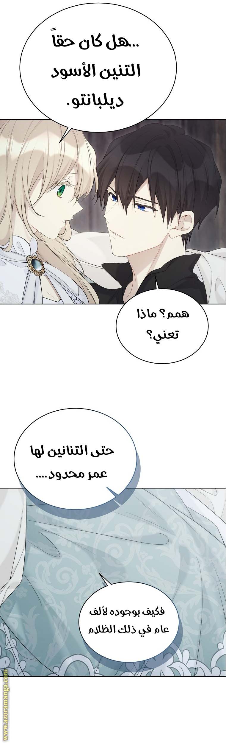 الصفحة 13