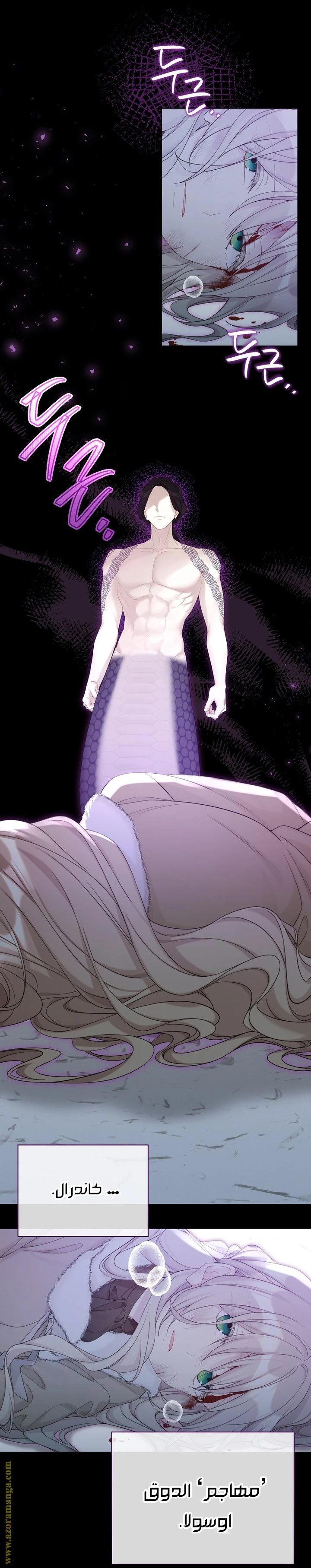 الصفحة 19