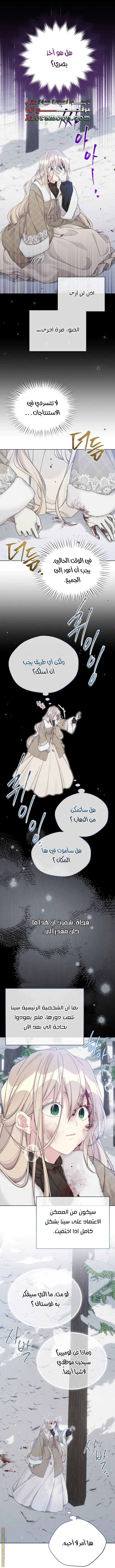 الصفحة 24