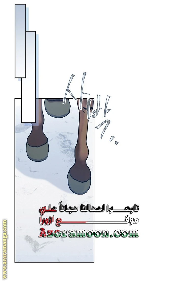 الصفحة 29