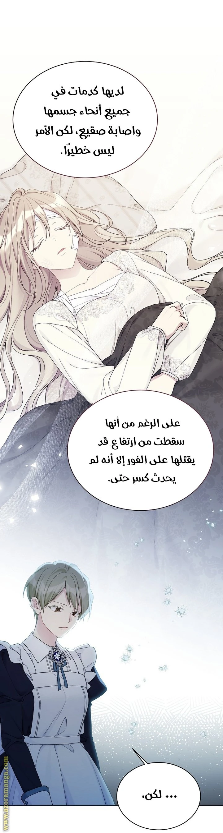 الصفحة 13