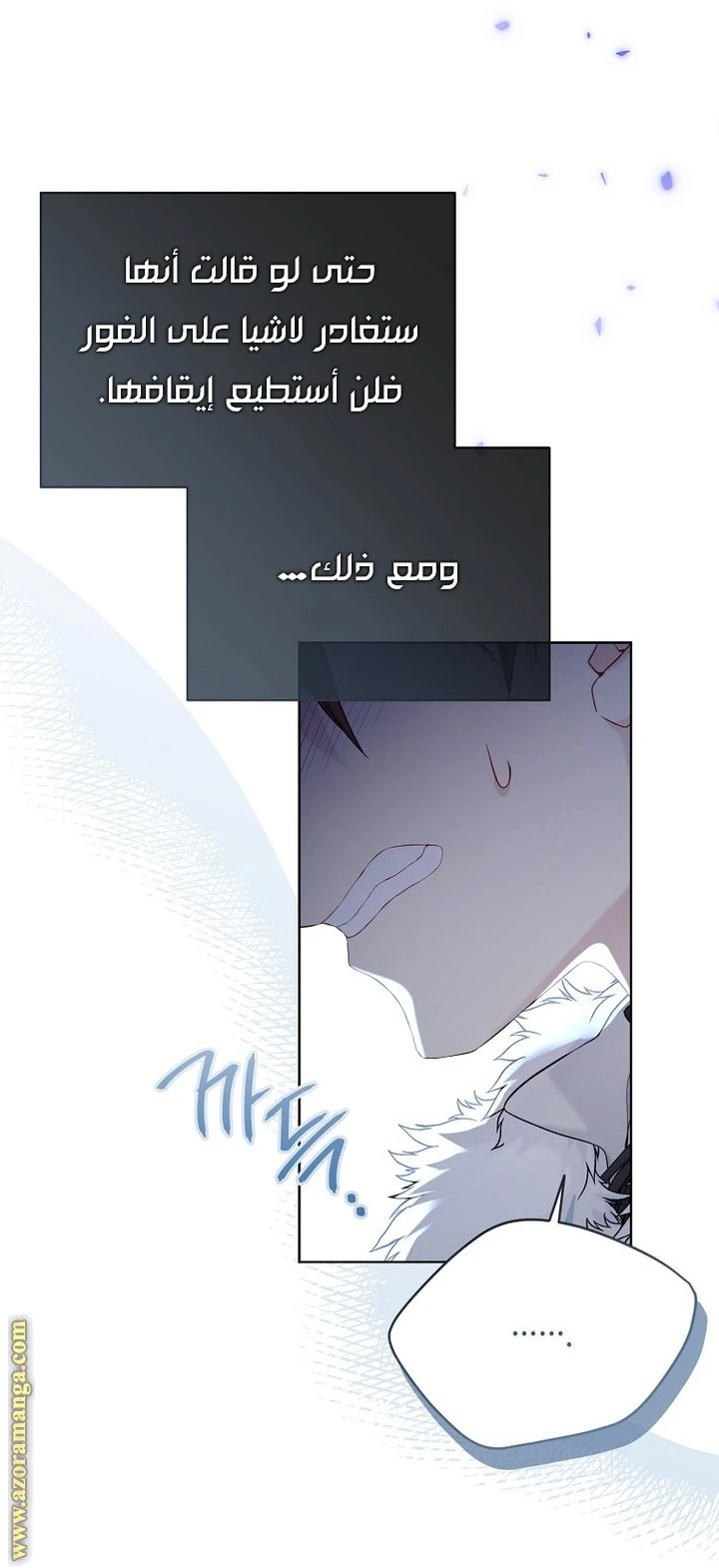 الصفحة 19