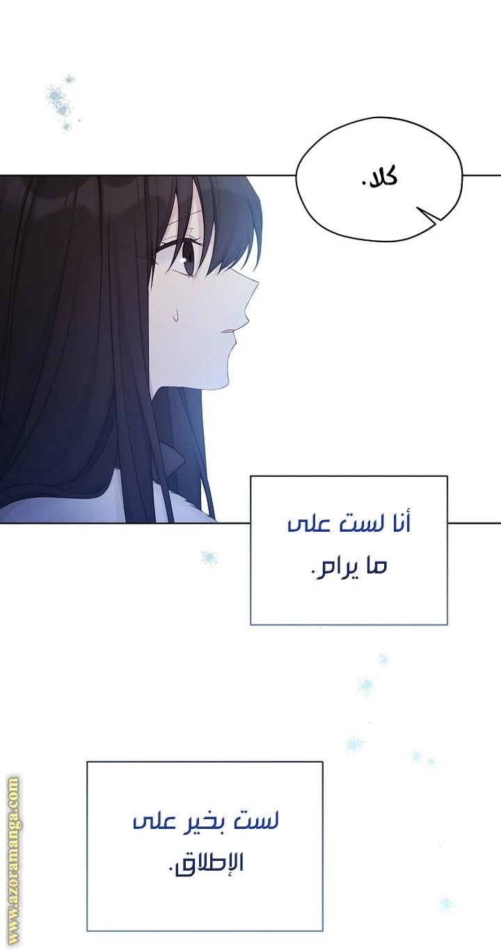 الصفحة 25