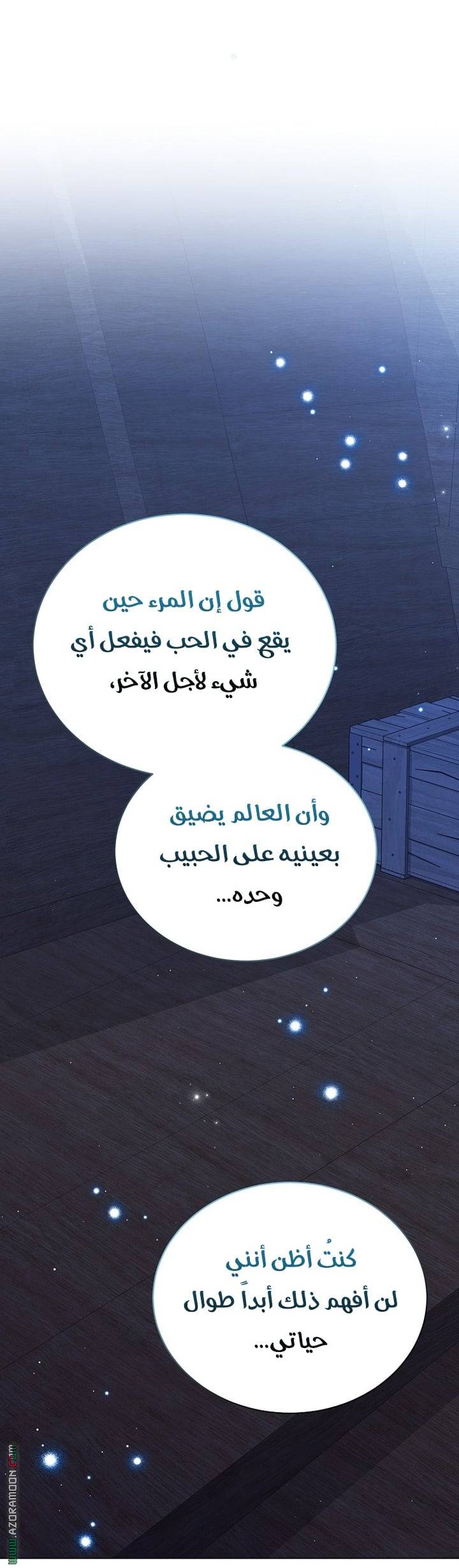 الصفحة 24