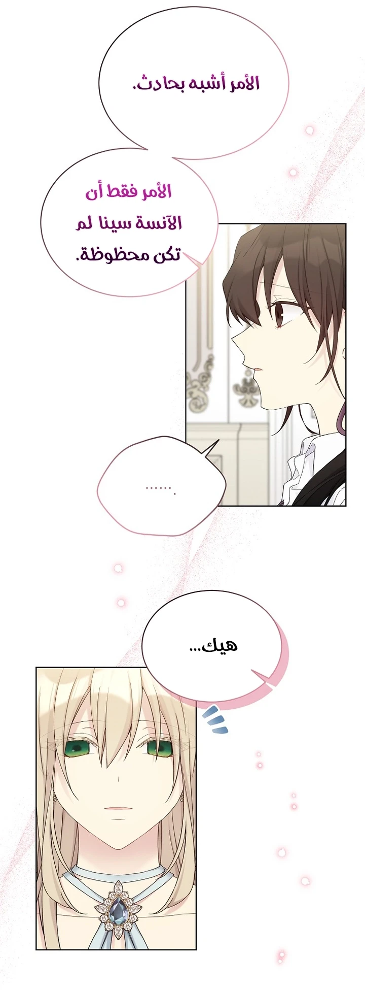 الصفحة 17