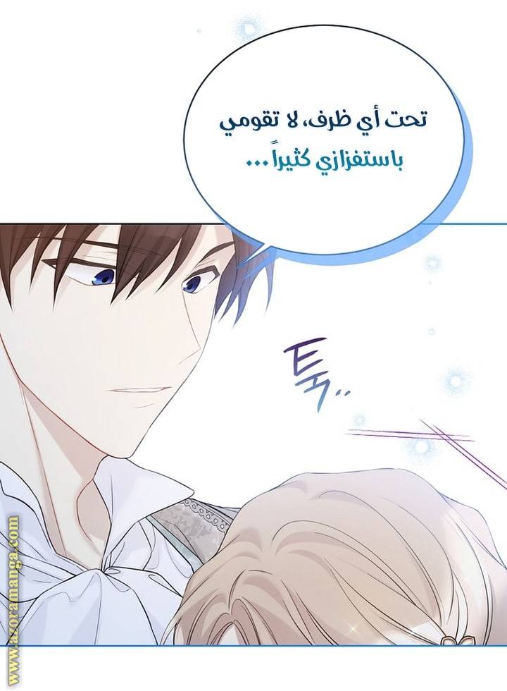 الصفحة 43