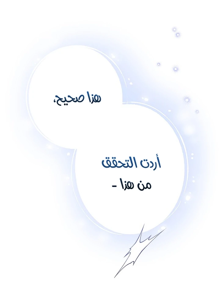 الصفحة 37