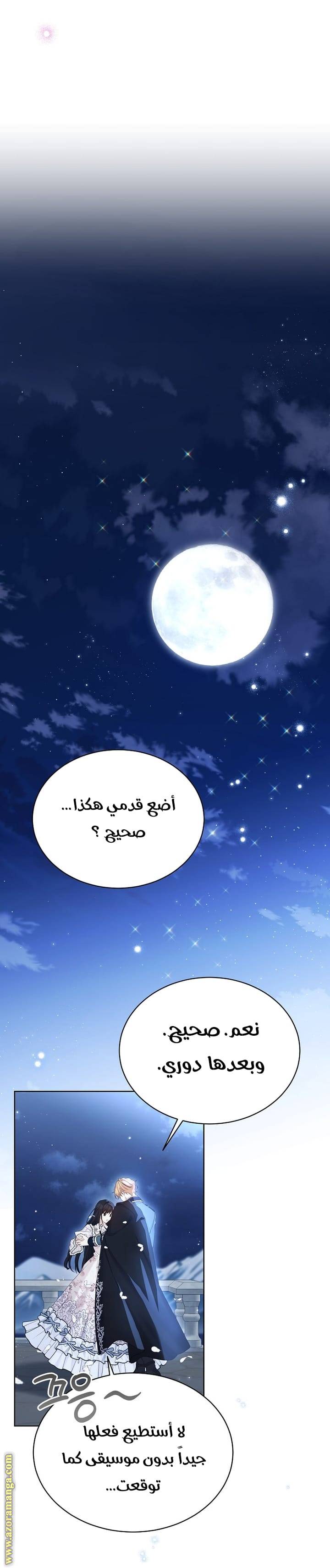الصفحة 29