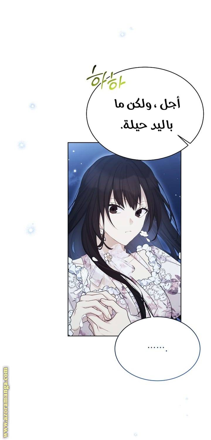 الصفحة 30