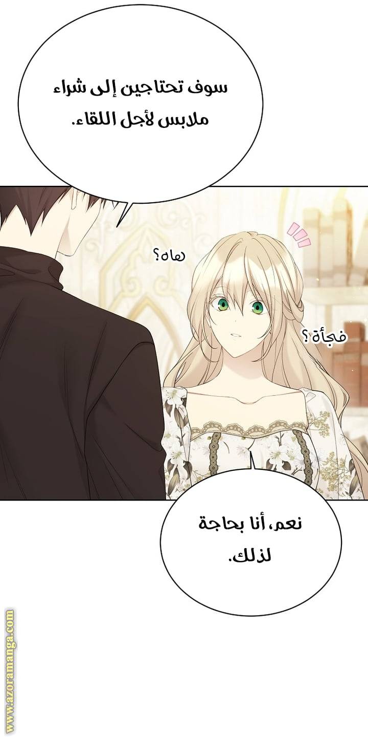 الصفحة 29