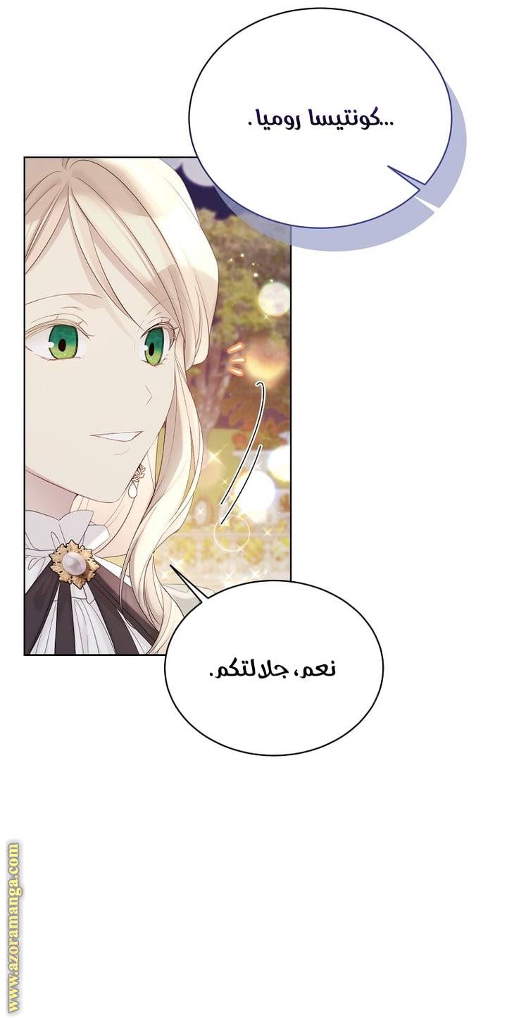 الصفحة 27