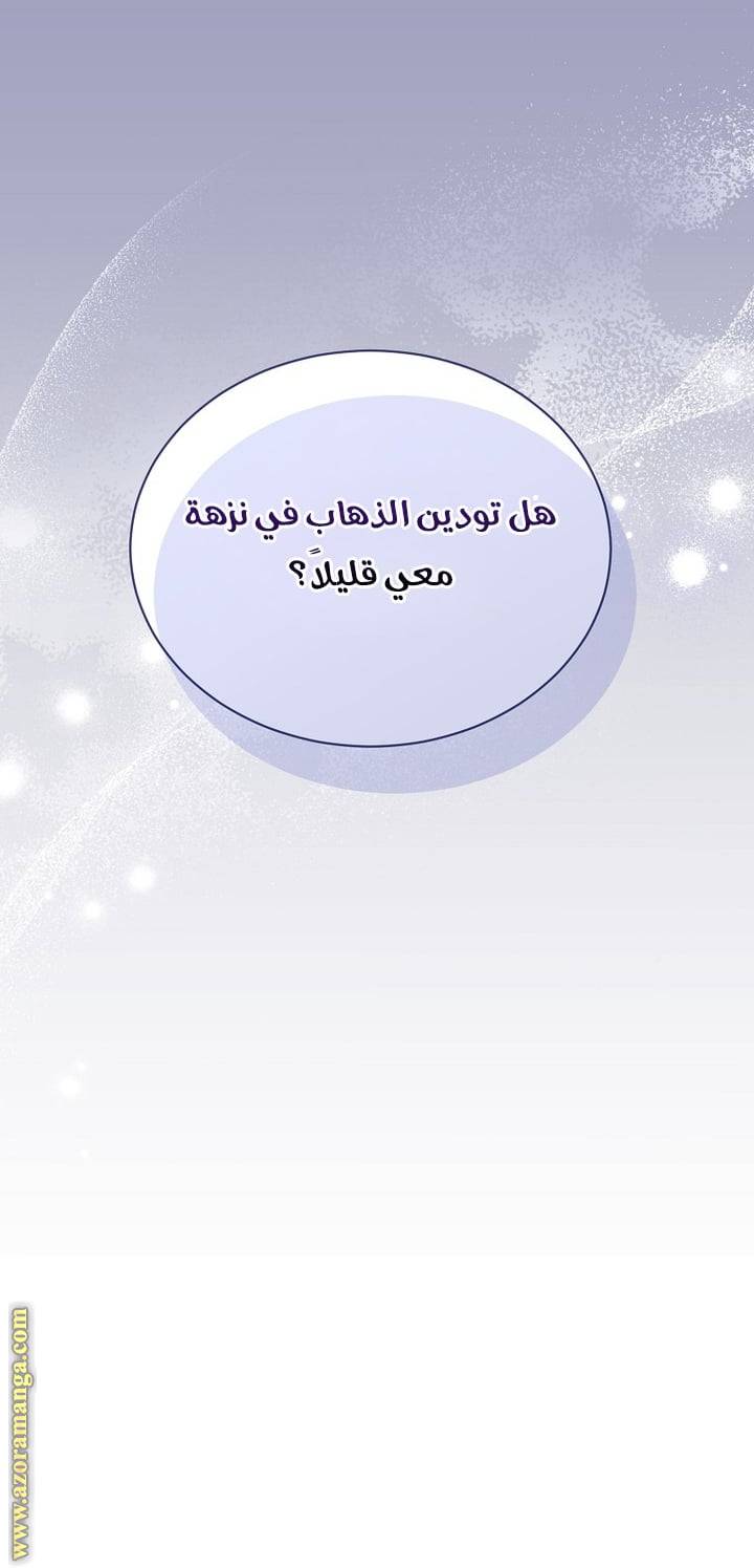 الصفحة 29