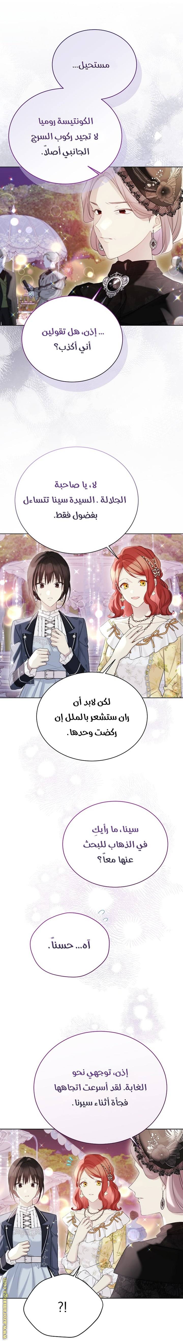 الصفحة 17