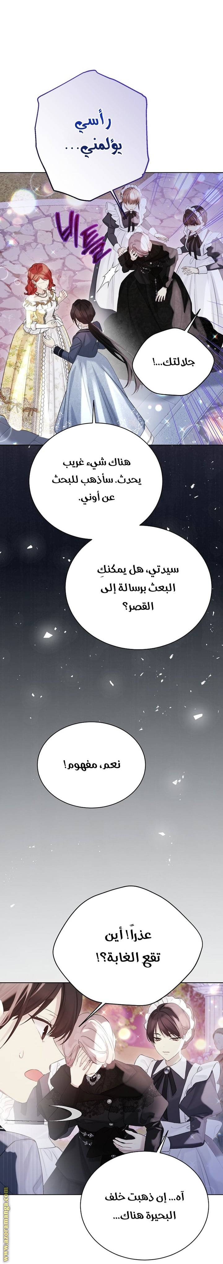 الصفحة 19