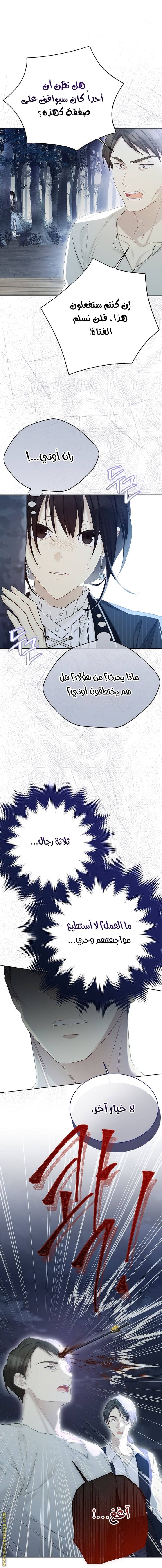 الصفحة 26