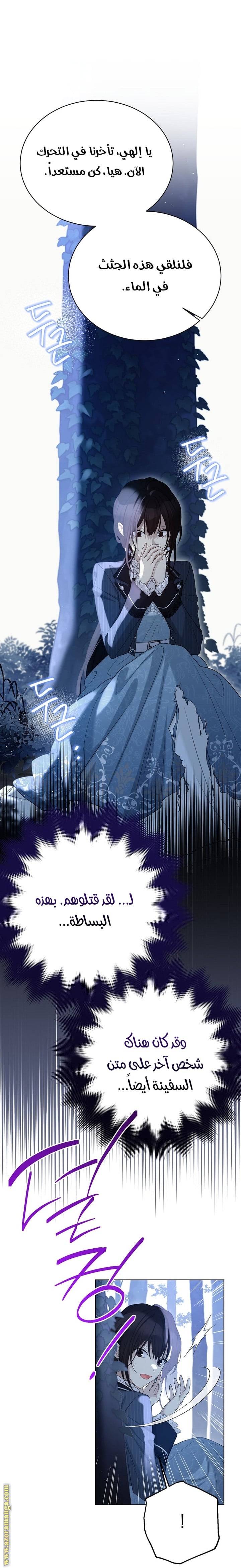 الصفحة 29