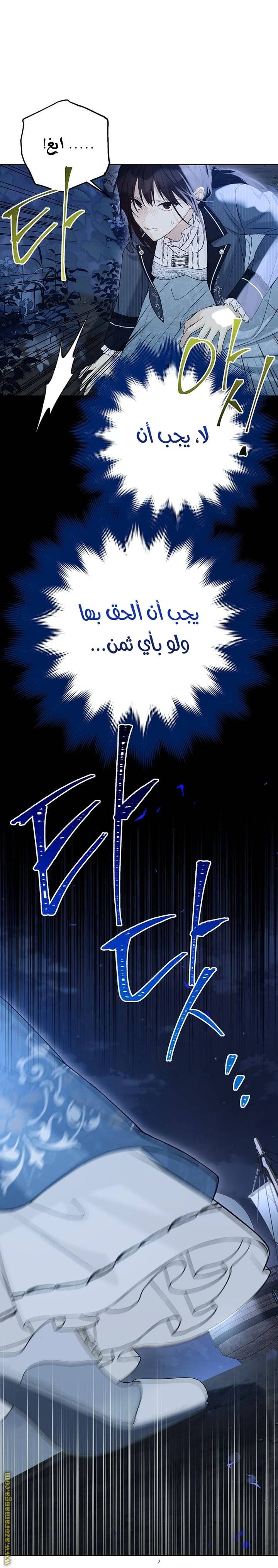 الصفحة 31