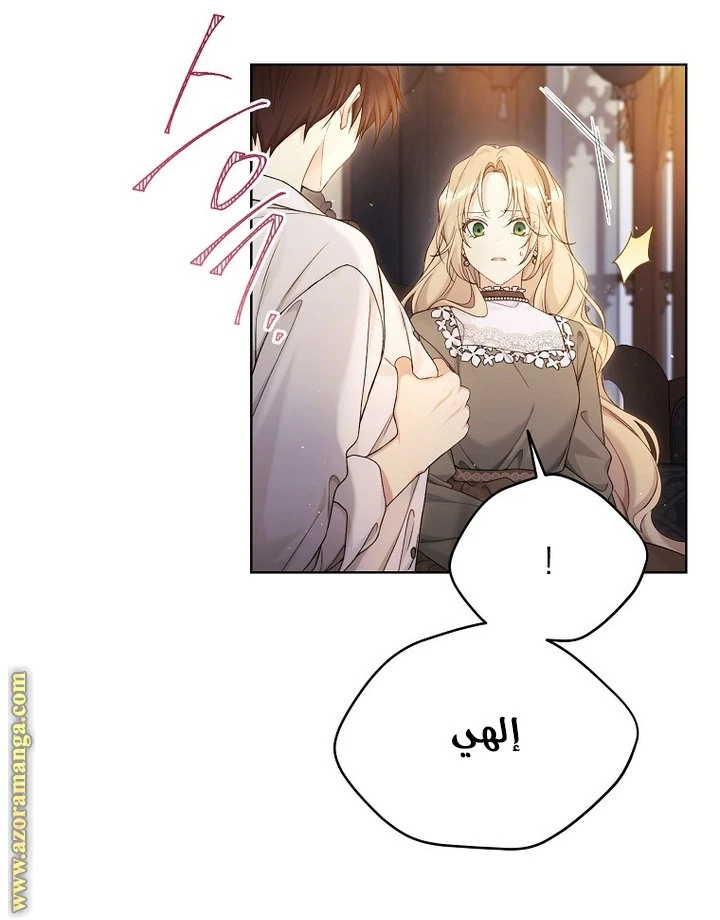 الصفحة 17