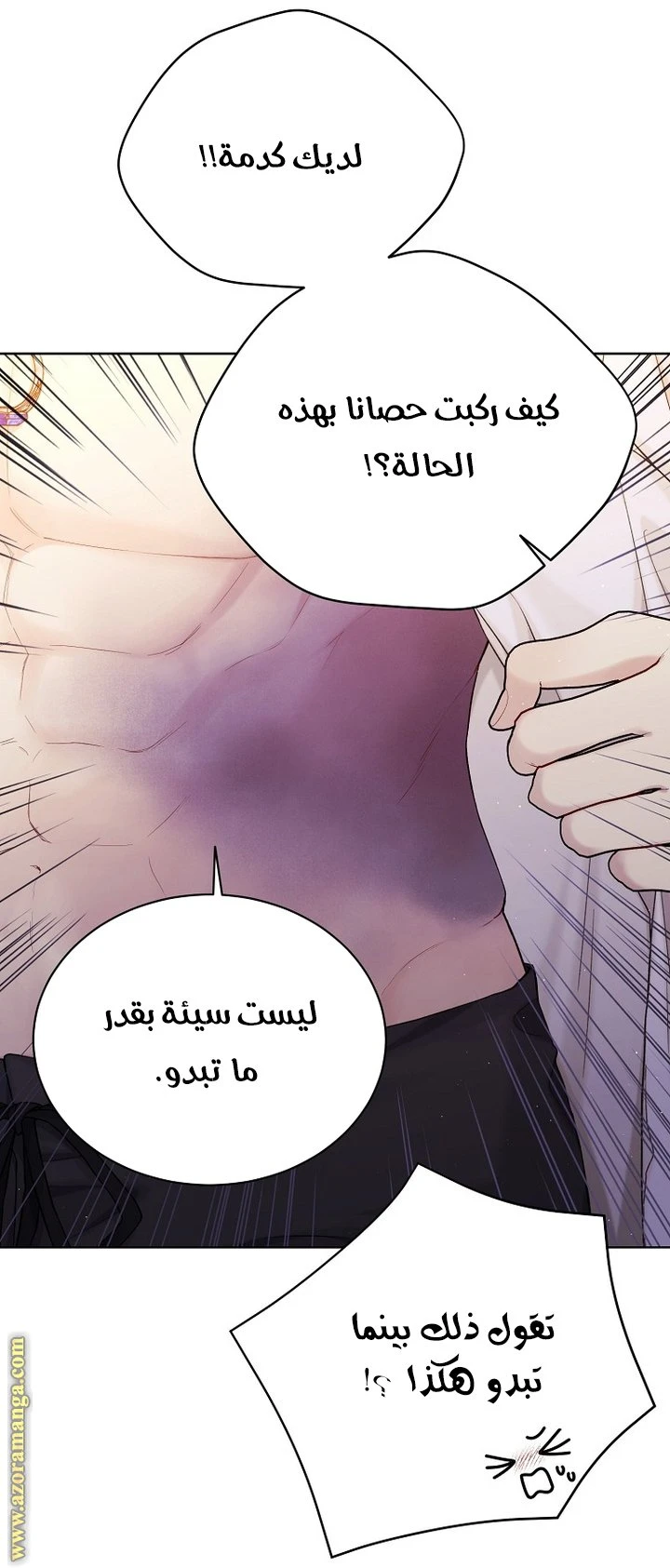 الصفحة 18