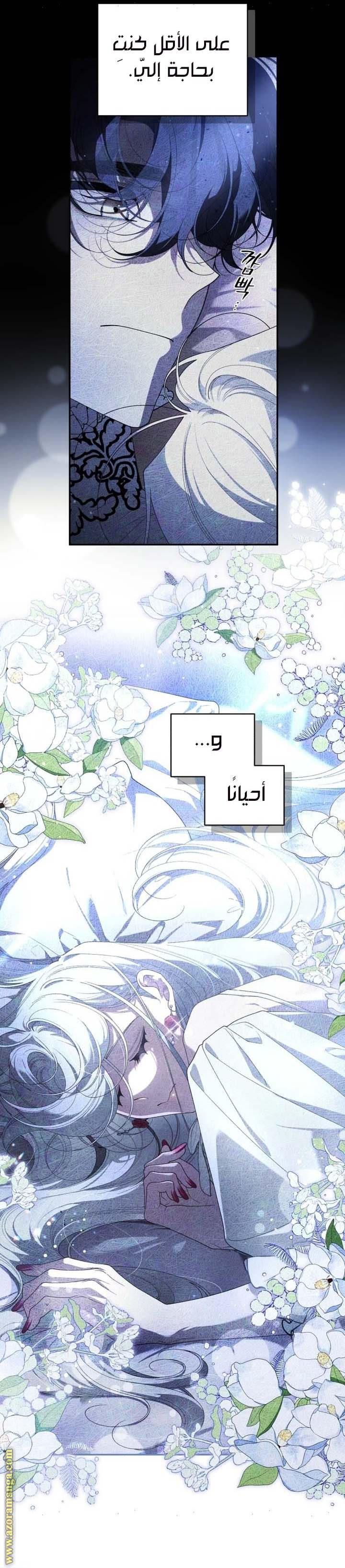 الصفحة 19