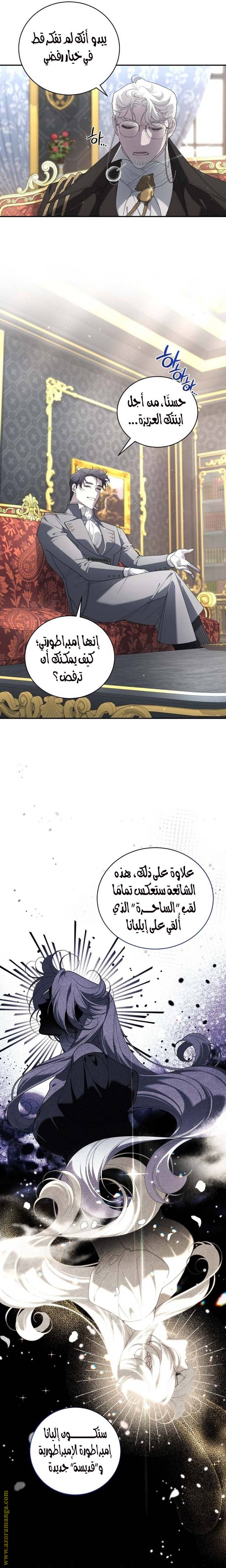 الصفحة 13