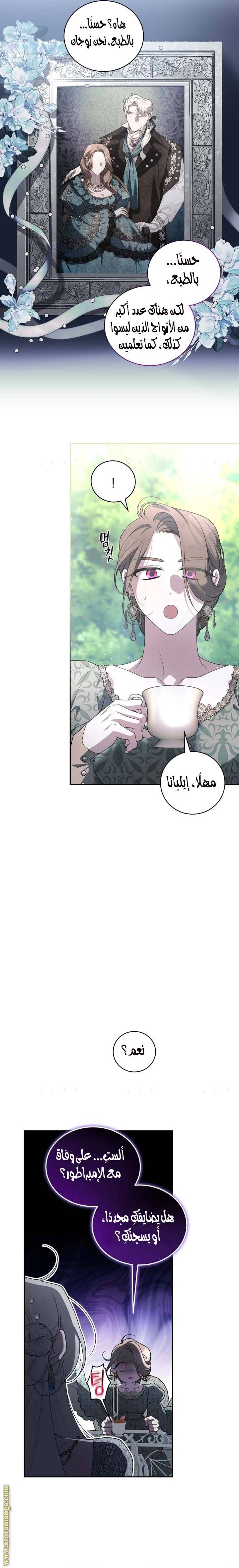 الصفحة 21