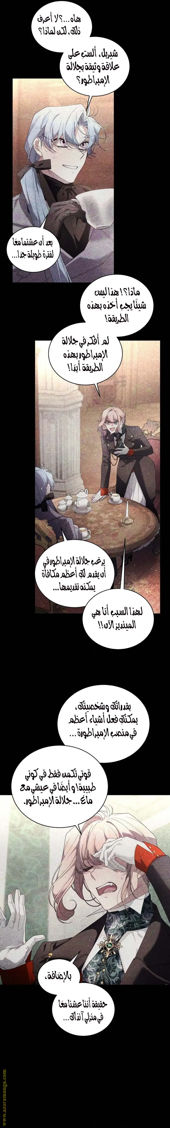 الصفحة 19