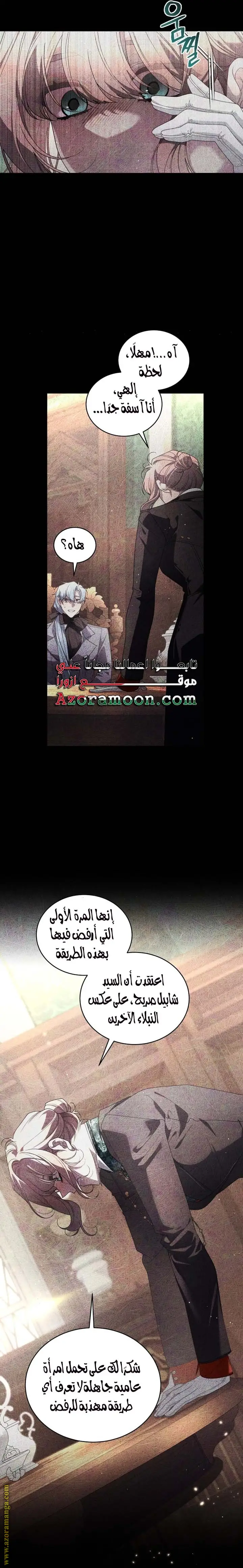 الصفحة 20