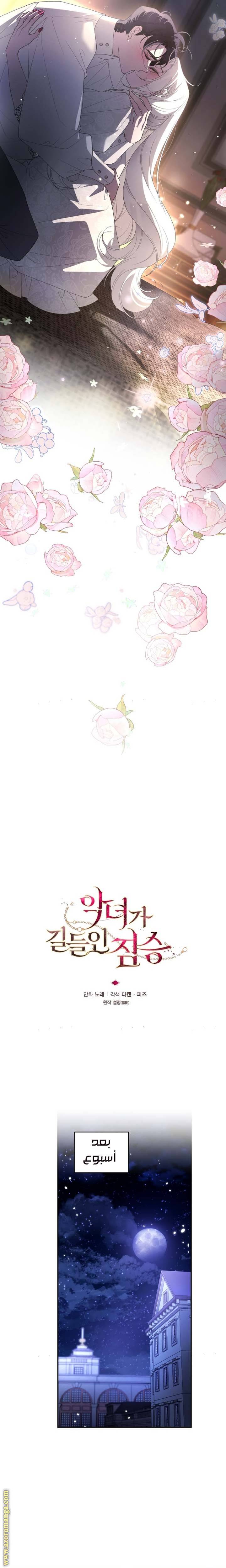 الصفحة 12