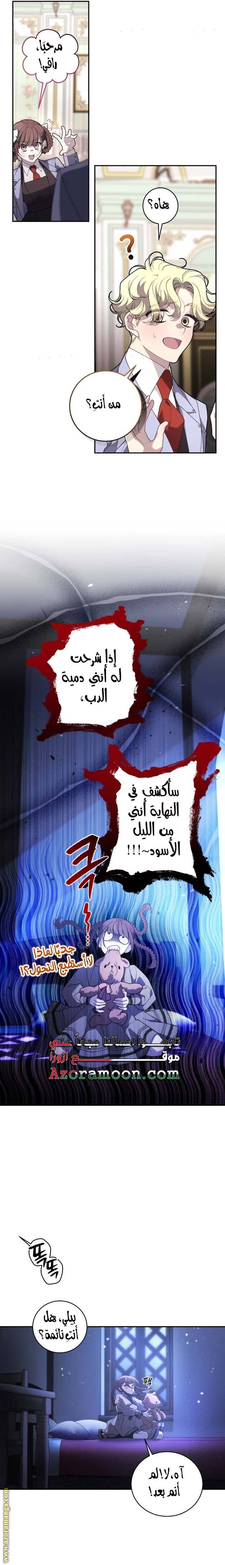 الصفحة 17