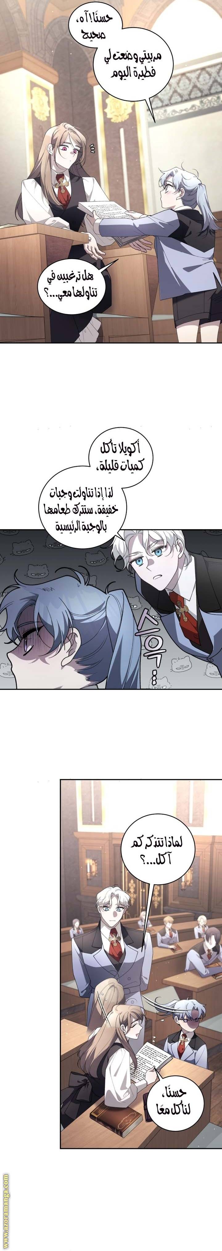 الصفحة 17
