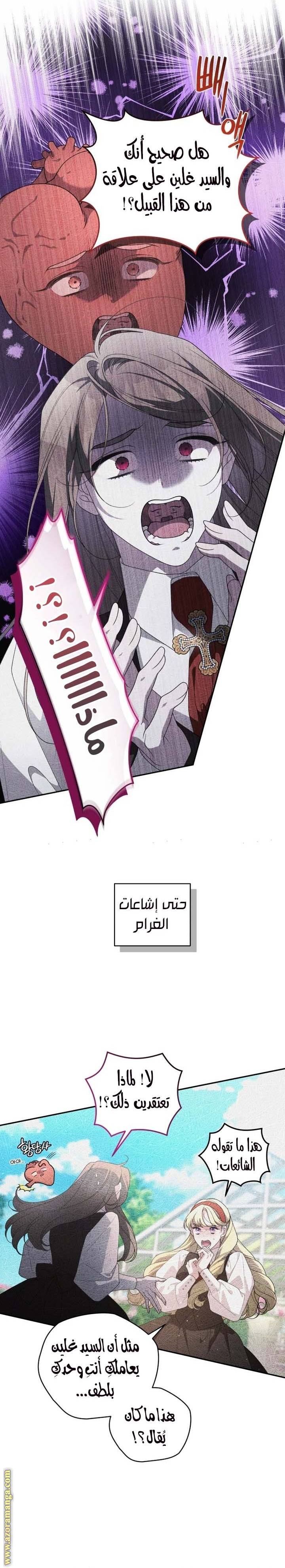 الصفحة 24