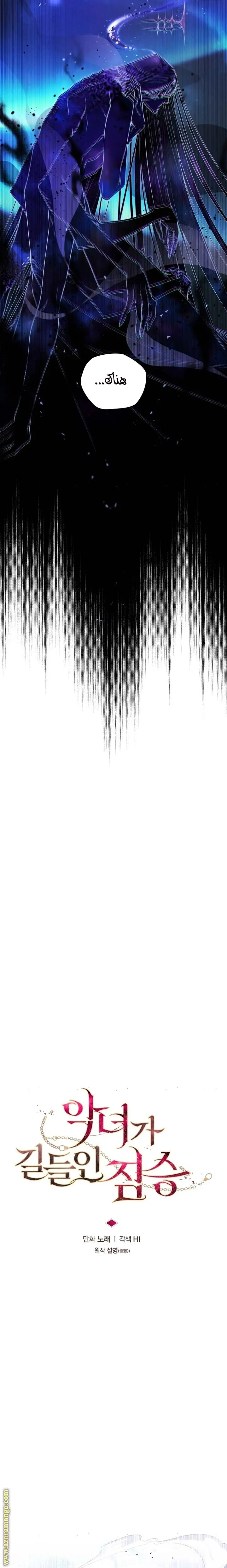 الصفحة 17