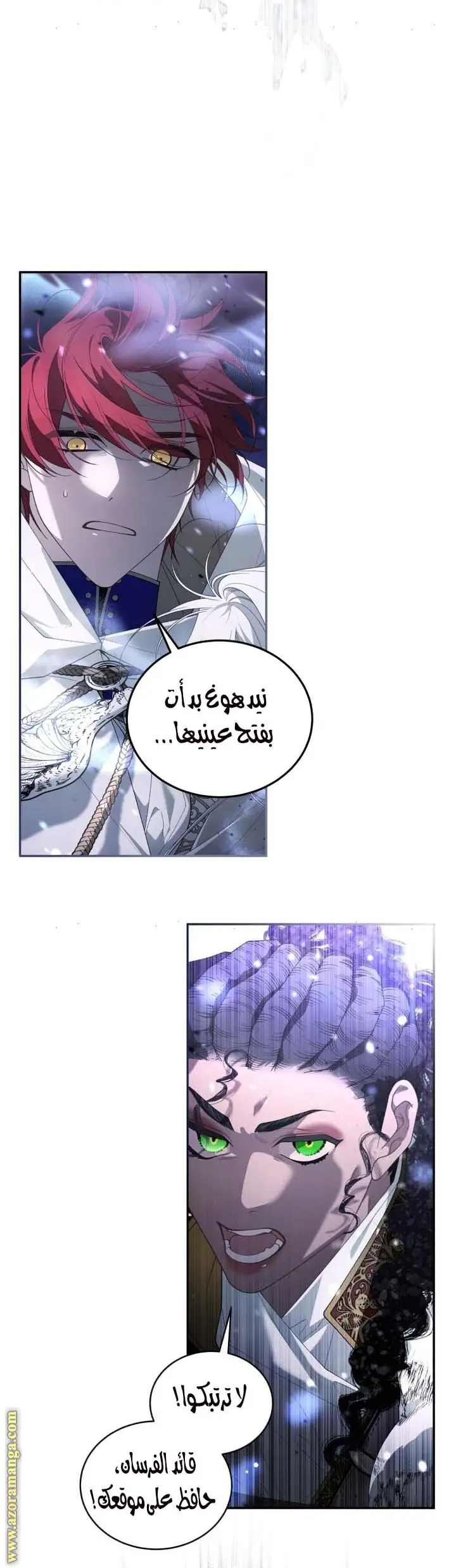 الصفحة 21