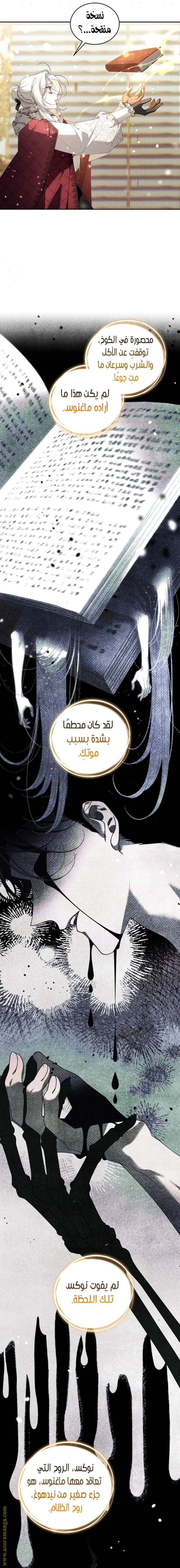 الصفحة 21