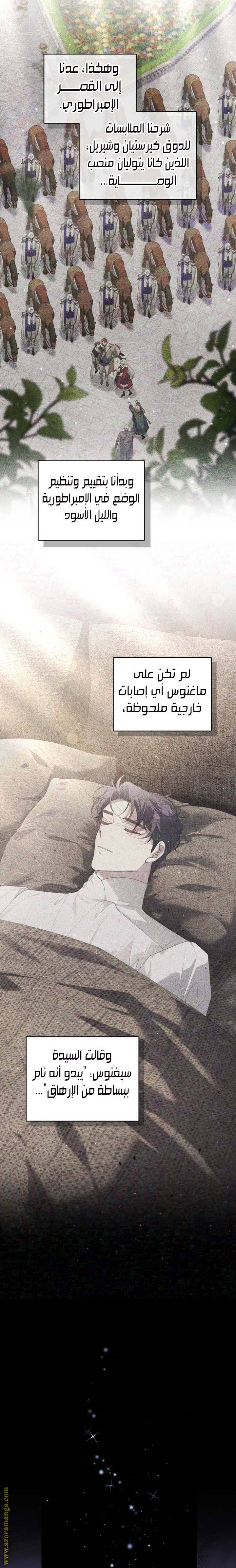الصفحة 17