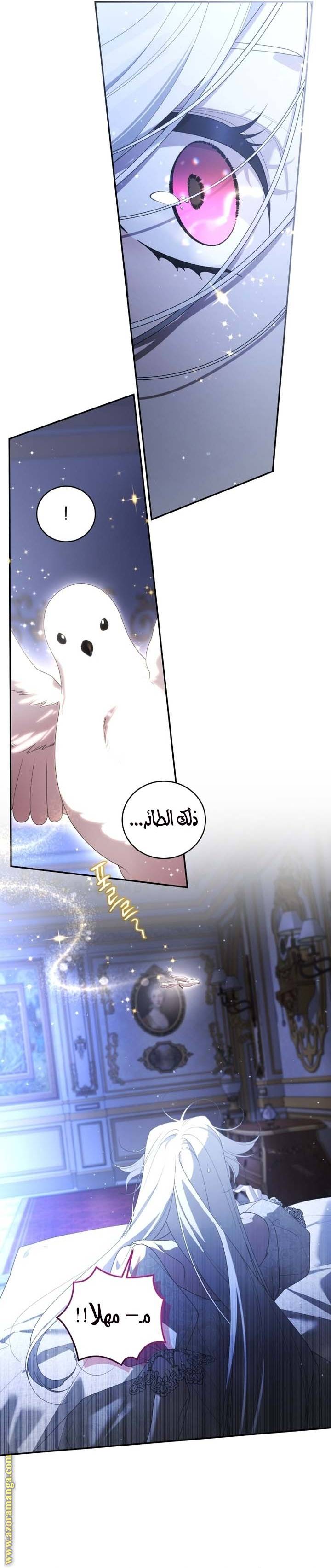 الصفحة 27