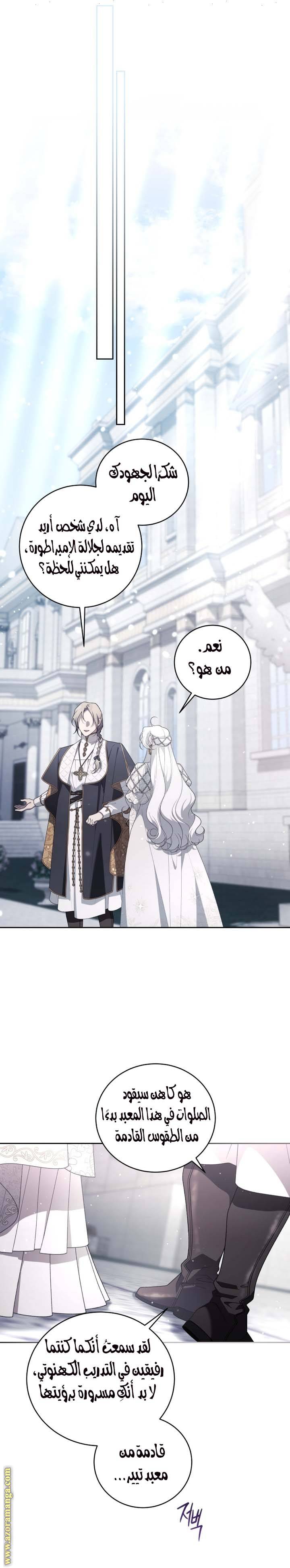 الصفحة 17