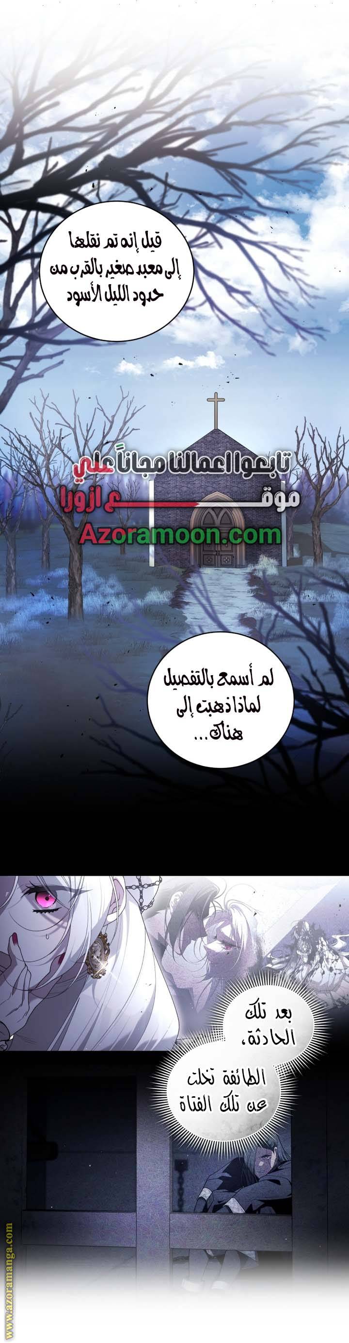 الصفحة 26