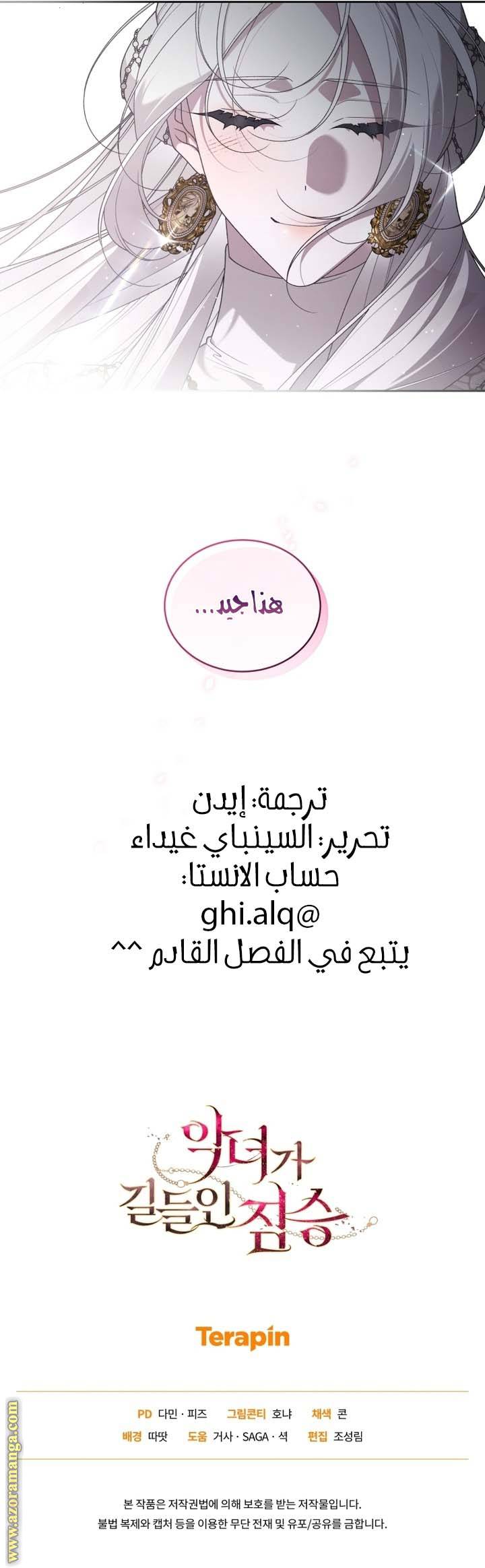 الصفحة 29