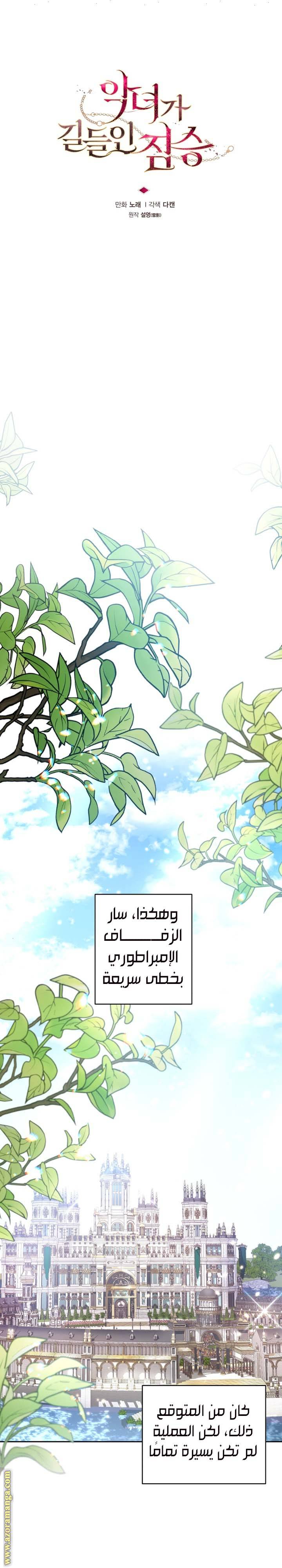 الصفحة 14