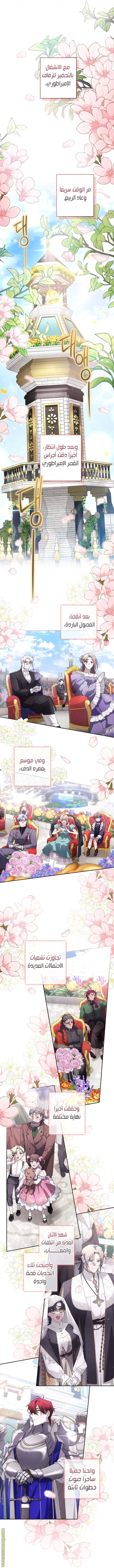 الصفحة 23