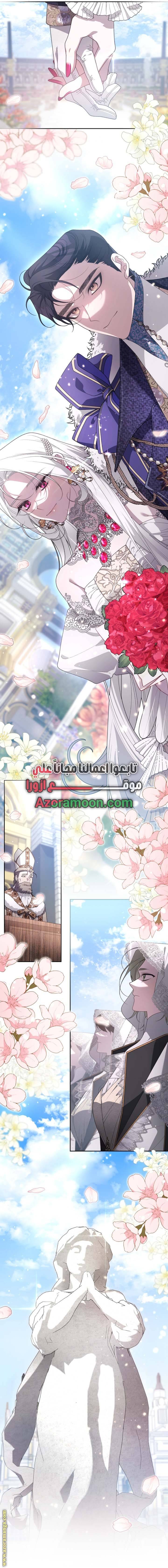 الصفحة 26